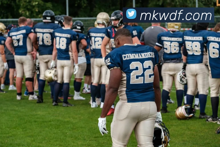 问鼎官网入口服务体系