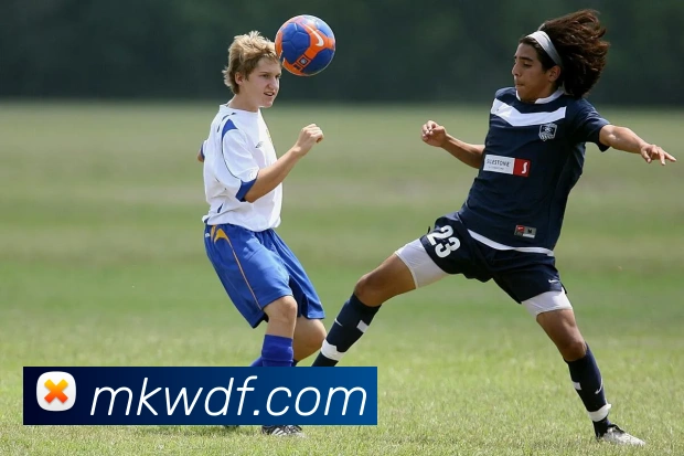 战术演练