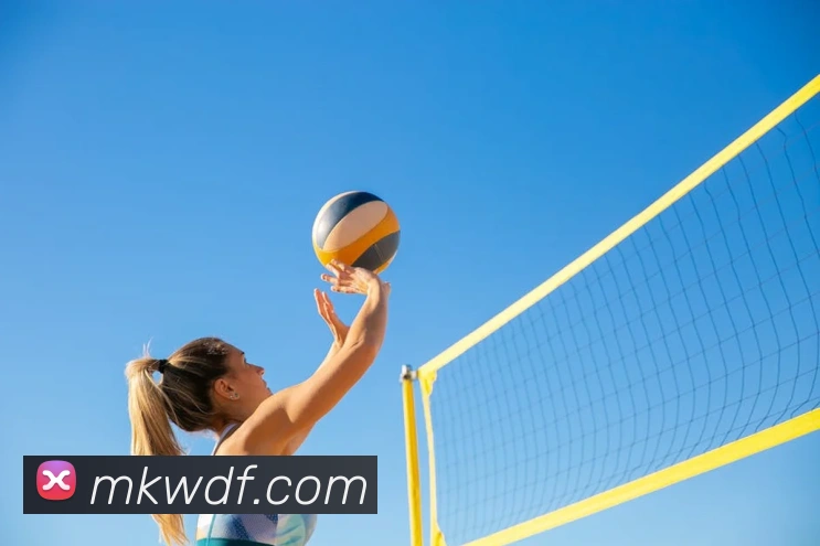 问鼎官网入口APP 体育赛事宣传图